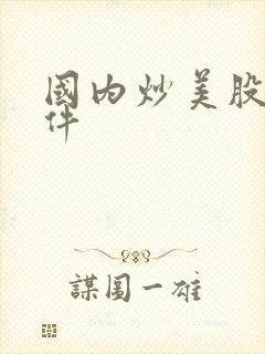 国内炒美股的软件