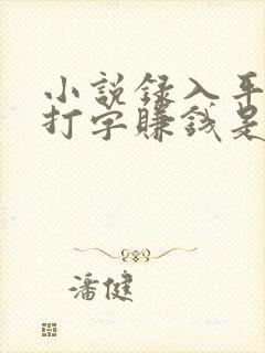 小说录入平台 打字赚钱是真的吗