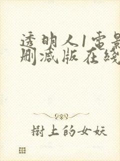 透明人1电影未删减版在线观看