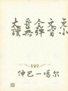 大哥全文免费阅读无弹窗小说