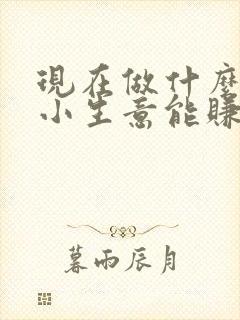 现在做什么样的小生意能赚钱