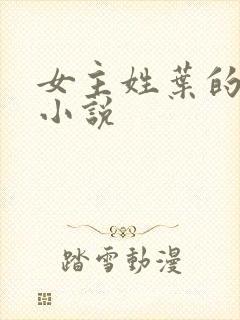 女主姓叶的穿越小说