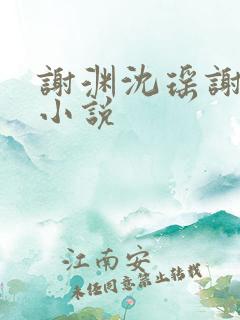 谢渊沈瑶谢景初小说