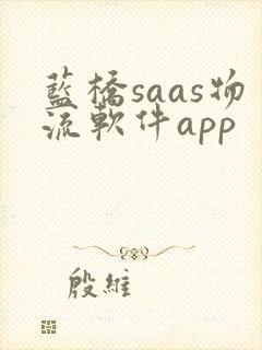 蓝桥saas物流软件app