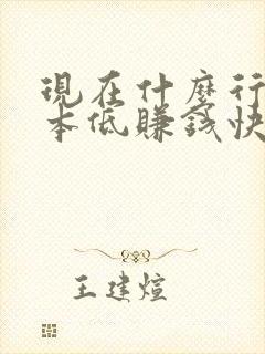 现在什么行业成本低赚钱快