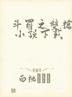 斗罗之双枪绝世 小说下载