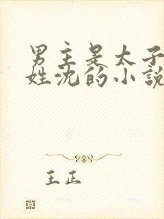 男主是太子女主姓沈的小说