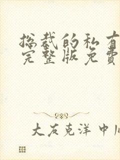 总裁的私有宝贝完整版免费阅读小说