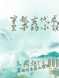 穿越古代成为九皇子的小说