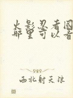 火影忍者国语版哪里可以看