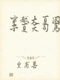 穿越大夏国九皇子夏天司马兰小说