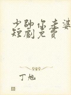 少帅你老婆又跑短剧免费