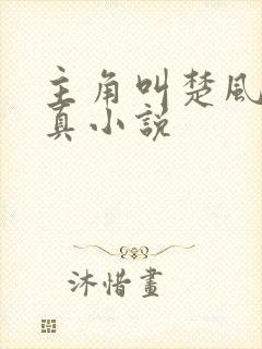 主角叫楚风的修真小说