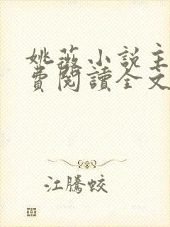 姚薇小说主角免费阅读全文最新章节