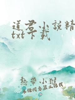 道君小说精校版txt下载