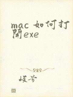 mac 如何打开exe