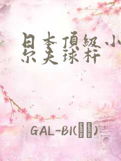 日本顶级小众高尔夫球杆