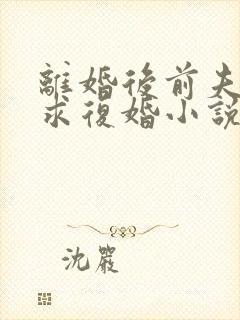 离婚后前夫哭着求复婚小说全文在线阅读