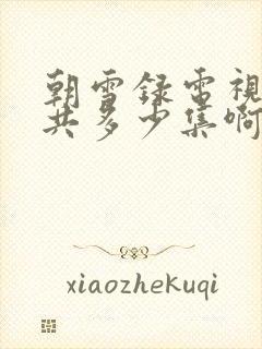 朝雪录电视剧一共多少集啊