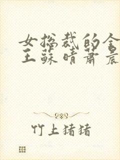 女总裁的全能兵王苏晴萧晨