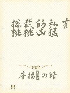 总裁的私有宝贝桃桃凶猛