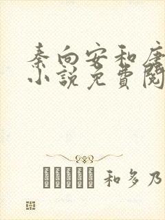 秦向安和唐婉琴小说免费阅读无弹窗