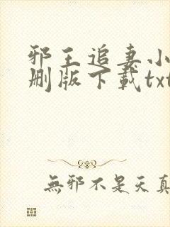 邪王追妻小说未删版下载txt