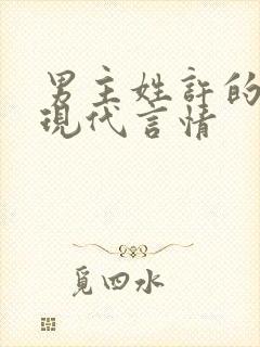 男主姓许的小说现代言情