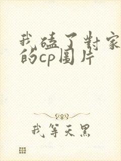 我磕了对家x我的cp图片