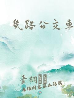 几路公交车英文