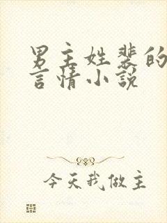 男主姓裴的现代言情小说