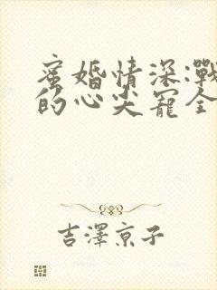 蜜婚情深:战少的心尖宠全文免费