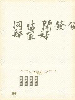 网站 开发公司哪家好