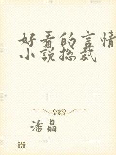 好看的言情甜宠小说总裁