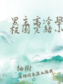 男主高冷学霸的校园完结小说