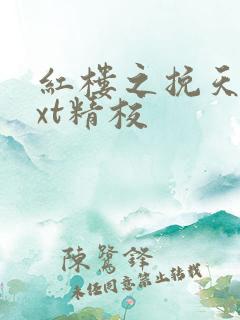 红楼之挽天倾txt精校