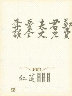 夺爱夫君郑媛小说全文免费阅读