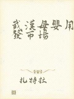 武汉母婴用品批发市场