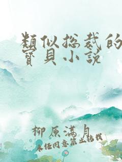 类似总裁的私有宝贝小说