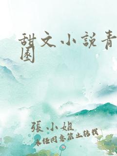 甜文小说青春校园