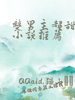 双男主超甜宠文小说推荐