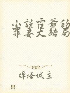 小说霍爷的隐婚罪妻大结局