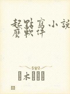 起点写小说用什么软件