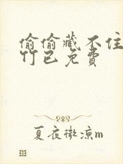 偷偷藏不住小说竹已免费