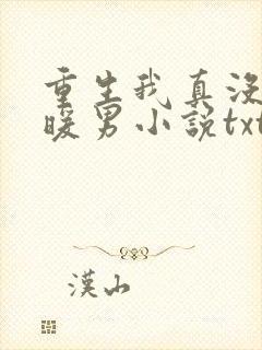 重生我真没想当暖男小说txt