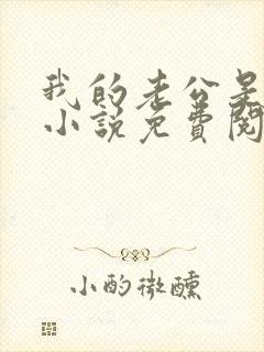 我的老公是冥王小说免费阅读全文