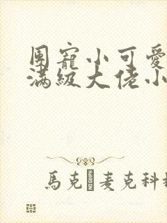 团宠小可爱成了满级大佬小说免费看