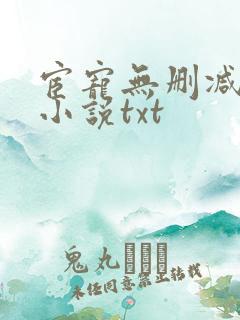 宦宠无删减原著小说txt