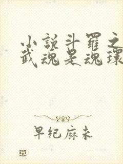 小说斗罗之我的武魂是魂环