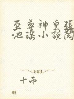 至尊神皇张若尘池瑶小说阅读